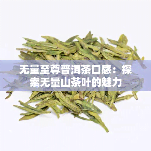 无量至尊普洱茶口感：探索无量山茶叶的魅力