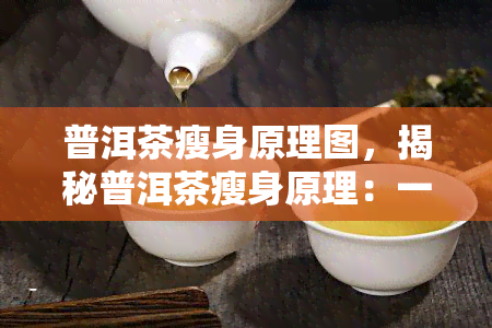 普洱茶瘦身原理图，揭秘普洱茶瘦身原理：一图读懂减肥奥秘