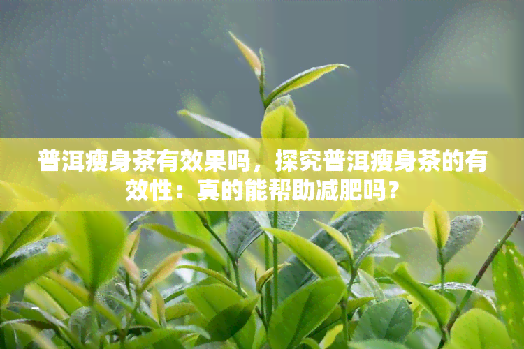 普洱瘦身茶有效果吗，探究普洱瘦身茶的有效性：真的能帮助减肥吗？