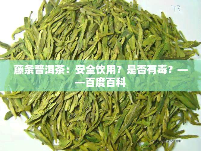 藤条普洱茶：安全饮用？是否有？——百度百科