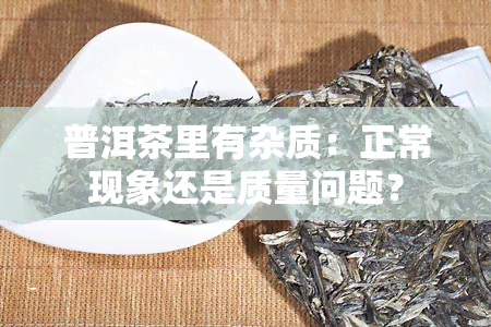 普洱茶里有杂质：正常现象还是质量问题？