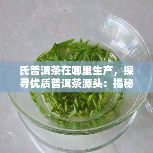 氏普洱茶在哪里生产，探寻优质普洱茶源头：揭秘氏普洱茶的产地