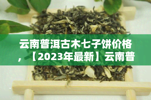 云南普洱古木七子饼价格，【2023年最新】云南普洱茶 七子饼 高山古树纯料 普洱生茶 易武古树 茶叶罐装 特级 素食品原料代餐价格