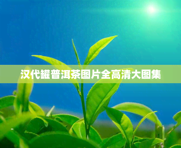 汉代罐普洱茶图片全高清大图集