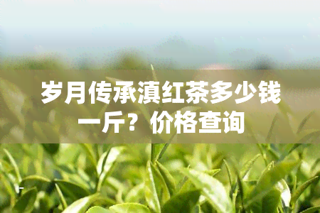 岁月传承滇红茶多少钱一斤？价格查询