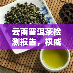 云南普洱茶检测报告，权威发布：云南普洱茶检测报告出炉，品质如何？