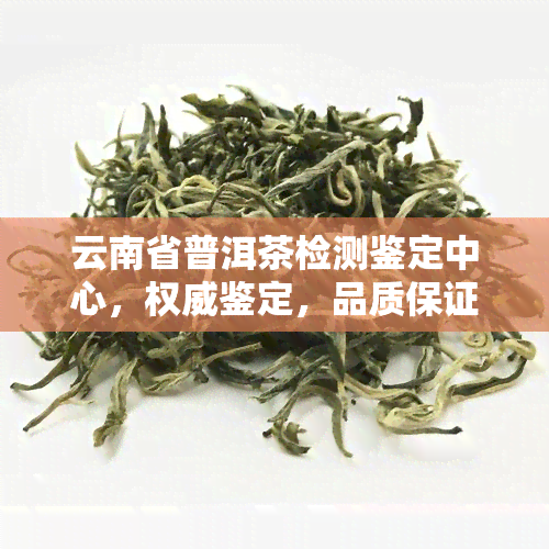 云南省普洱茶检测鉴定中心，权威鉴定，品质保证——云南省普洱茶检测鉴定中心