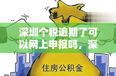 深圳个税逾期了可以网上申报吗，深圳个税逾期后，是否可以在网上进行申报？