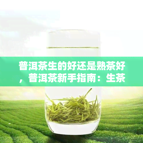 普洱茶生的好还是熟茶好，普洱茶新手指南：生茶和熟茶，哪种更适合你？