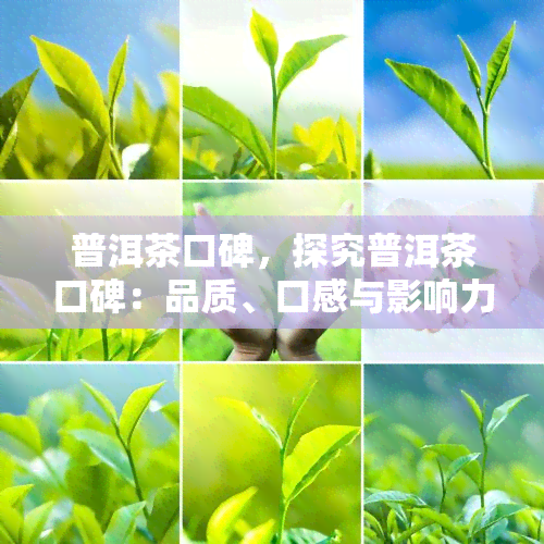 普洱茶口碑，探究普洱茶口碑：品质、口感与影响力的影响因素