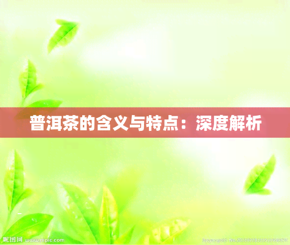 普洱茶的含义与特点：深度解析