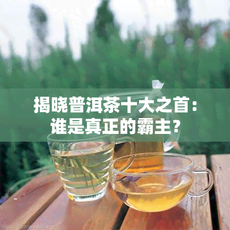 揭晓普洱茶十大之首：谁是真正的霸主？