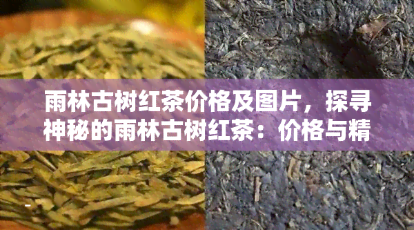 雨林古树红茶价格及图片，探寻神秘的雨林古树红茶：价格与精美图片一览