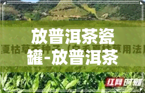 放普洱茶瓷罐-放普洱茶瓷罐好吗