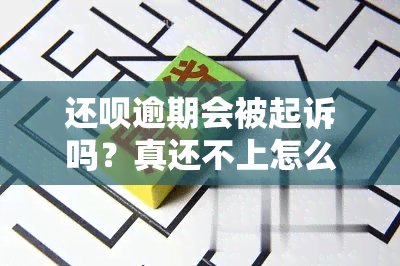 还呗逾期会被起诉吗？真还不上怎么办？全面解析逾期后果与解决办法