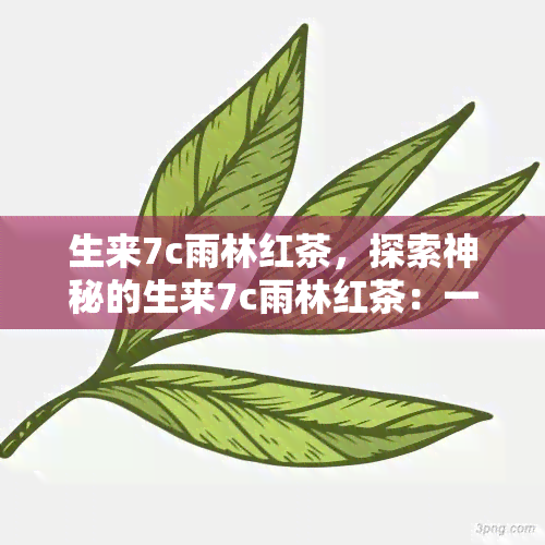 生来7c雨林红茶，探索神秘的生来7c雨林红茶：一种独特的饮品体验