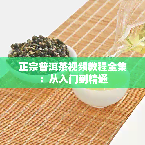 正宗普洱茶视频教程全集：从入门到精通