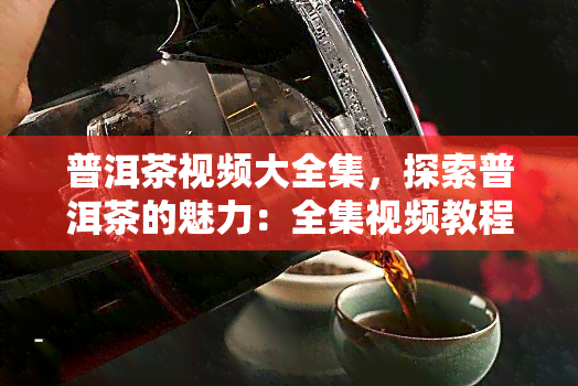 普洱茶视频大全集，探索普洱茶的魅力：全集视频教程