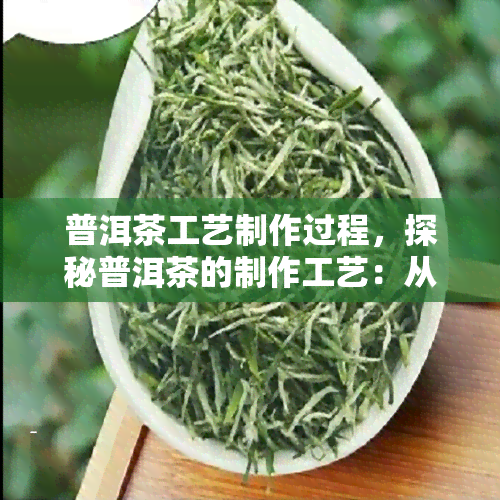 普洱茶工艺制作过程，探秘普洱茶的制作工艺：从采摘到陈化的过程解析