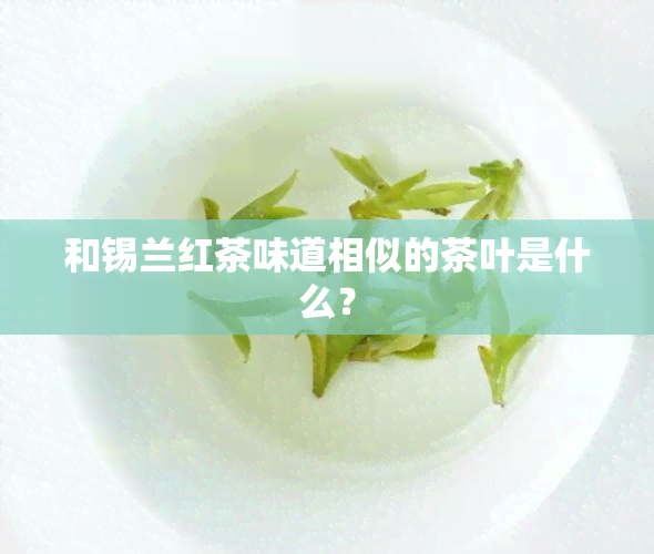 和锡兰红茶味道相似的茶叶是什么？