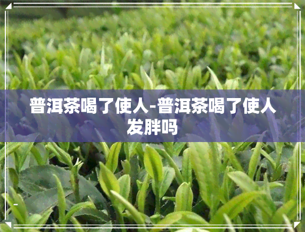 普洱茶喝了使人-普洱茶喝了使人发胖吗