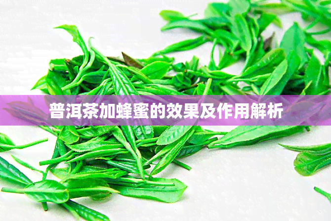 普洱茶加蜂蜜的效果及作用解析