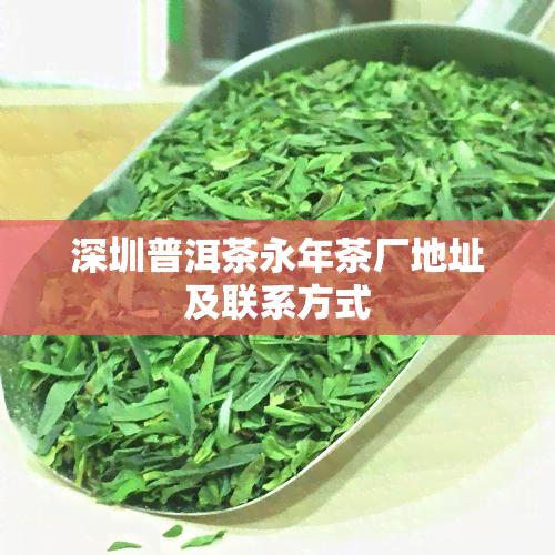 深圳普洱茶永年茶厂地址及联系方式