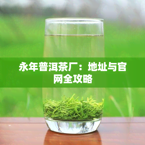 永年普洱茶厂：地址与官网全攻略