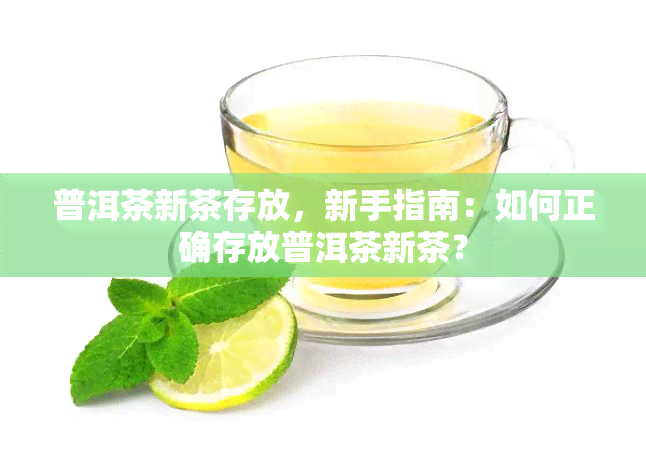 普洱茶新茶存放，新手指南：如何正确存放普洱茶新茶？