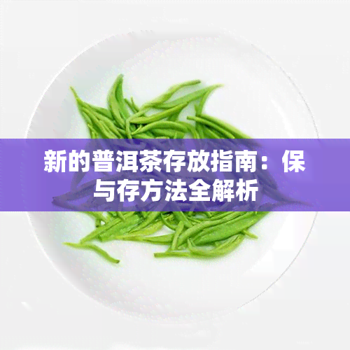 新的普洱茶存放指南：保与存方法全解析