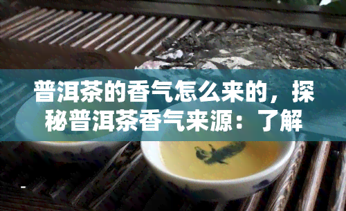 普洱茶的香气怎么来的，探秘普洱茶香气来源：了解其独特魅力所在