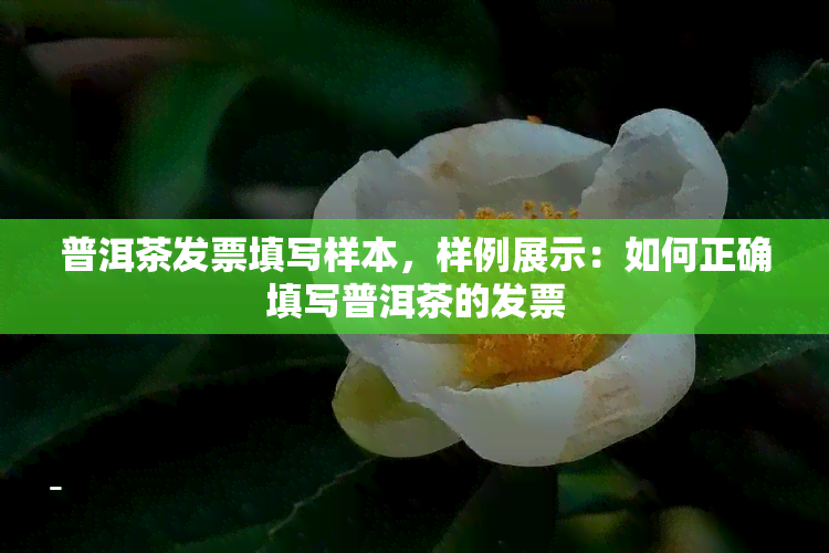 普洱茶发票填写样本，样例展示：如何正确填写普洱茶的发票