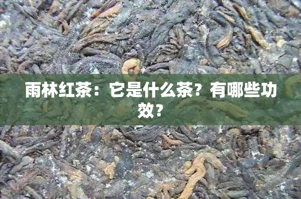 雨林红茶：它是什么茶？有哪些功效？