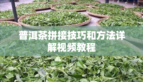 普洱茶拼接技巧和方法详解视频教程