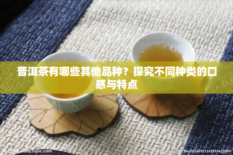 普洱茶有哪些其他品种？探究不同种类的口感与特点