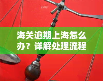 海关逾期上海怎么办？详解处理流程及所需手续