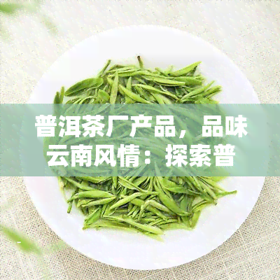 普洱茶厂产品，品味云南风情：探索普洱茶厂的精选产品