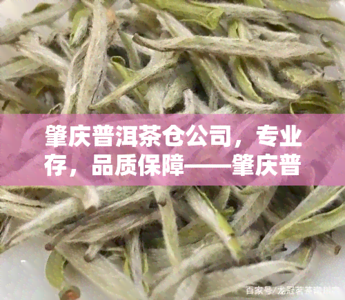 肇庆普洱茶仓公司，专业存，品质保障——肇庆普洱茶仓公司