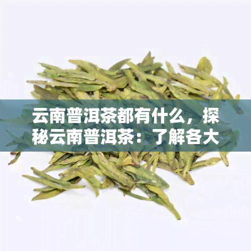 云南普洱茶都有什么，探秘云南普洱茶：了解各大知名