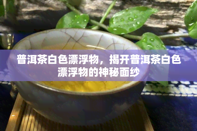 普洱茶白色漂浮物，揭开普洱茶白色漂浮物的神秘面纱