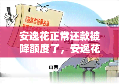 安逸花正常还款被降额度了，安逸花正常还款却遭遇额度下降，原因解析与解决办法