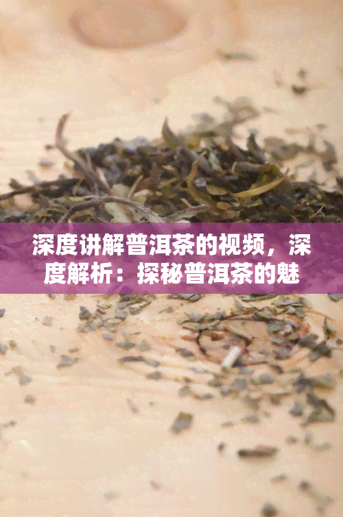 深度讲解普洱茶的视频，深度解析：探秘普洱茶的魅力与制作工艺