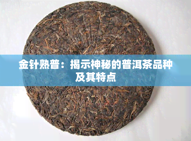 金针熟普：揭示神秘的普洱茶品种及其特点