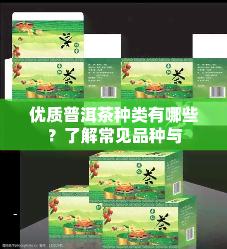 优质普洱茶种类有哪些？了解常见品种与