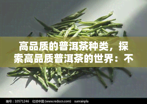 高品质的普洱茶种类，探索高品质普洱茶的世界：不同种类的特点与鉴别方法