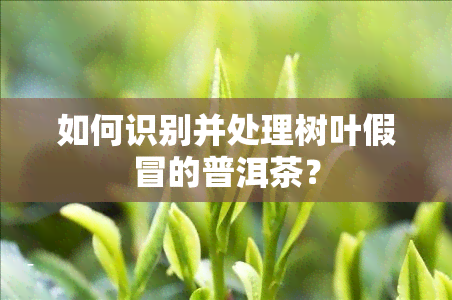 如何识别并处理树叶假冒的普洱茶？