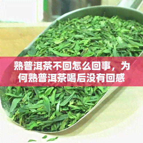 熟普洱茶不回怎么回事，为何熟普洱茶喝后没有回感？