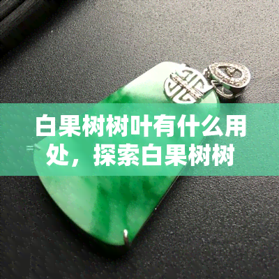 白果树树叶有什么用处，探索白果树树叶的多种用途：从物到环保材料