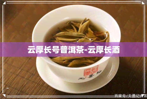 云厚长号普洱茶-云厚长