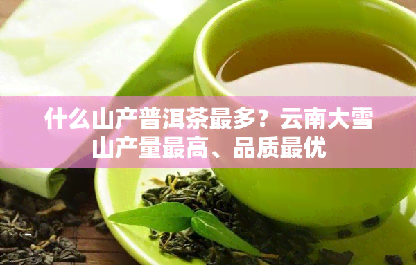 什么山产普洱茶最多？云南大雪山产量更高、品质更优